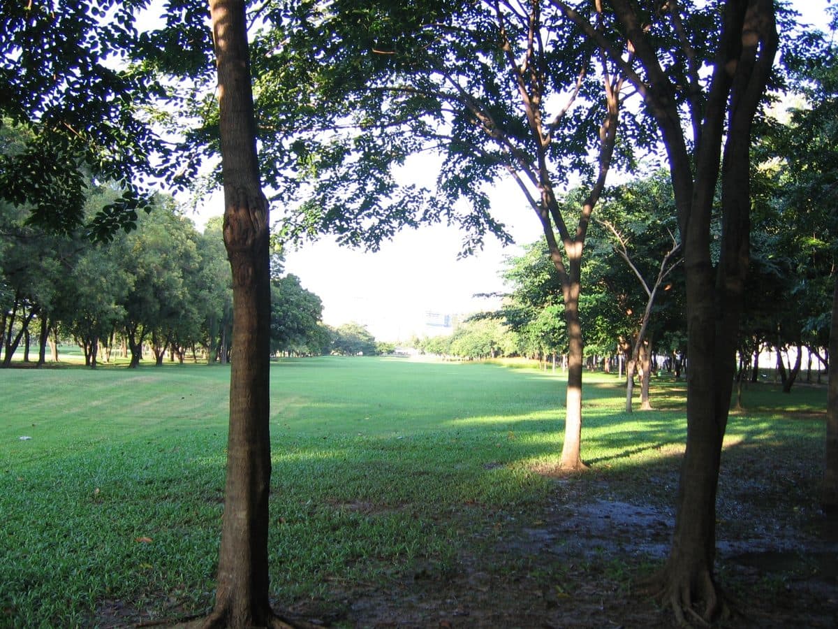 Suan Rot Fai
